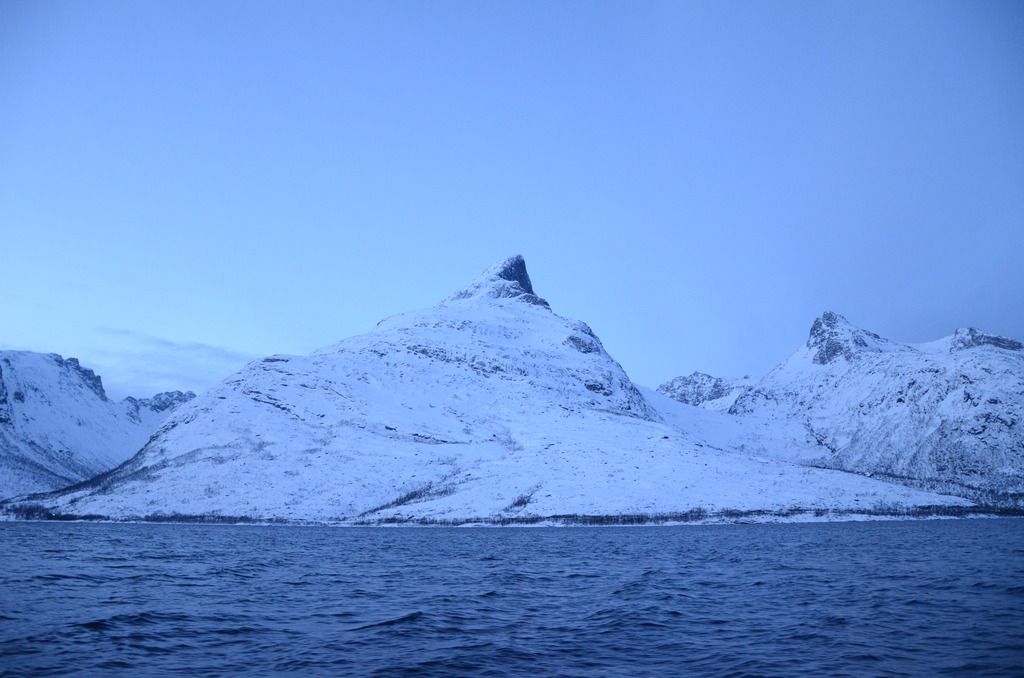 Lapland & Tromsø – Chasing the Northern Lights - Alvinology