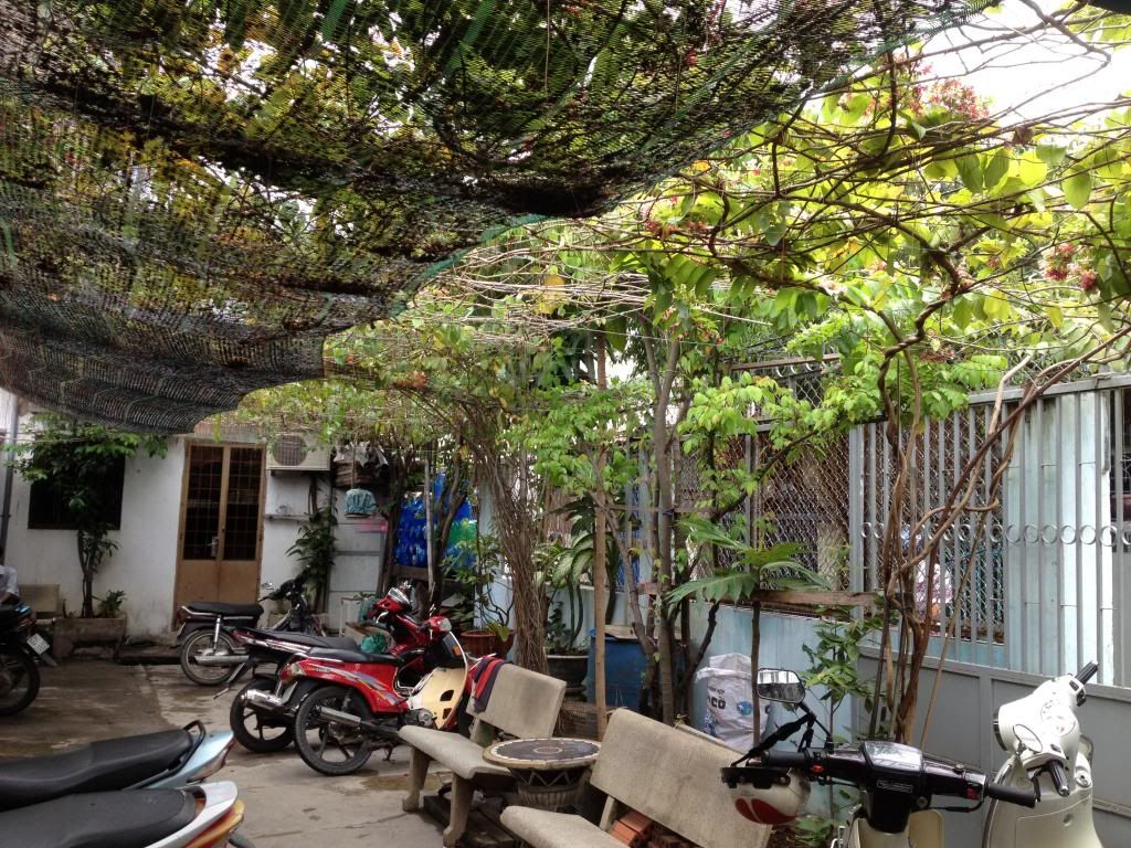 Xuất Cảnh Cần Bán Nhà 1000 m2 Gấp - 2