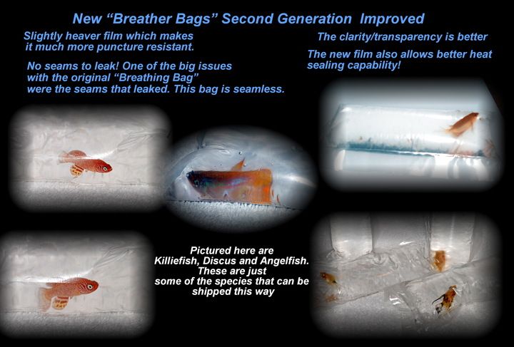 2nd generation Breather Bags photo 2mlBreatherBags_zpsec33e422.jpg
