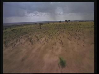 PDVD 001 43 - África: El Serengueti [IMAX] (2003) [DVD5]