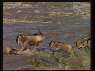 PDVD 002 45 - África: El Serengueti [IMAX] (2003) [DVD5]