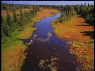 PDVD 002 58 - Alaska - Espíritu Salvaje [IMAX] (1999) [DVD5]
