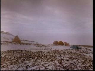 PDVD 009 36 - La Antártida [IMAX] (1999) [DVD5]