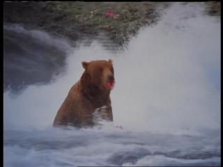 PDVD 009 38 - Alaska - Espíritu Salvaje [IMAX] (1999) [DVD5]