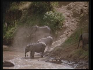 PDVD 010 30 - África: El Serengueti [IMAX] (2003) [DVD5]