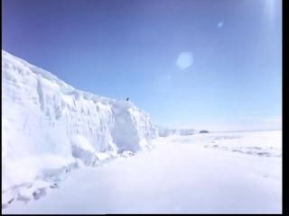 PDVD 012 29 - La Antártida [IMAX] (1999) [DVD5]