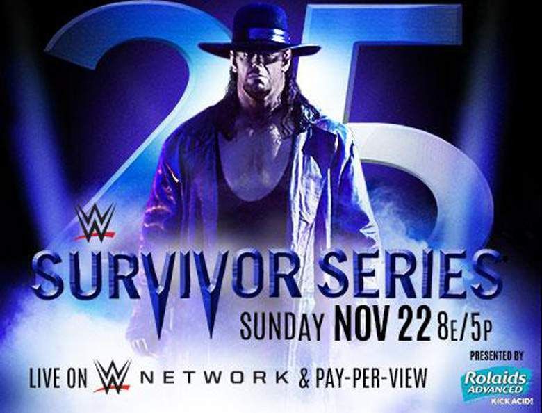  photo WWE Survivor Series 2015 Poster.jpg