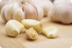 Garlic