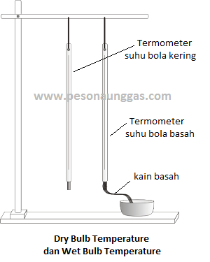 termometer photo Termometer-1.png