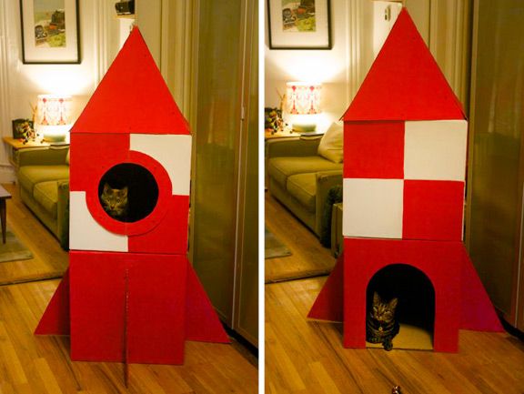  Progetto fai da te gatto foto gatti alzatina handmade gioco mici cuccia per cani e gatti fatta in casa 