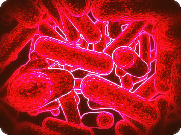  arte digitale fotografia picasa batterio virus 