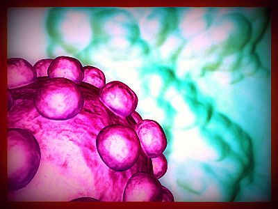  arte digitale fotografia picasa batterio virus t